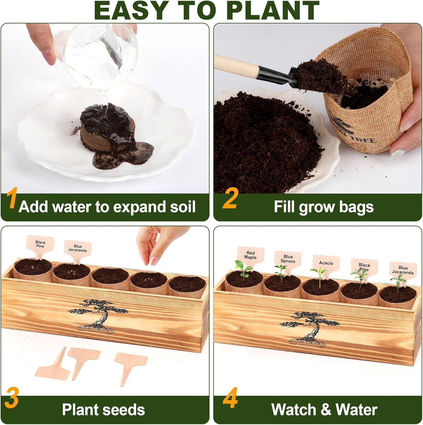 5 Pack Bonsai Tree Kit - 5 Seeds Growing Plant Bonsai Tree Live Kit for Beginners, Easy to Grow Complete Indoor Garden Starter Kits with Wooden Box & Tools, Christmas Gifts for Men Women Plant Lover