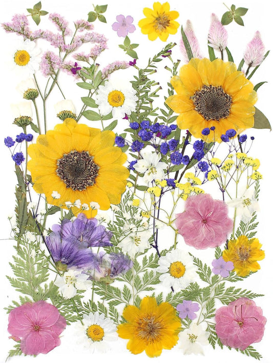 16 Types Boho Dried Pressed Flowers for Craft, Leaf Plant Herbarium for Resin Molds Jewelry Making Floral Decors（Boho Color）