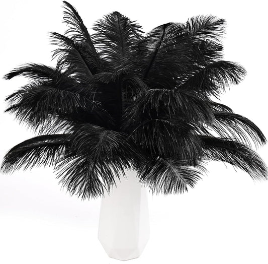 THARAHT Black Ostrich Feathers 24pcs Natural Bulk 8-10Inch 20cm-25cm for Crafts Wedding Party Centerpieces Halloween and Home Decoration Feathers