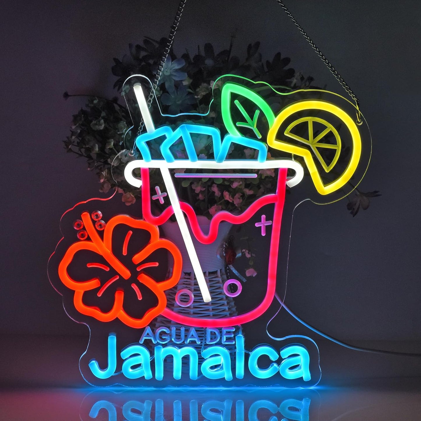 CNBEYOUNG Agua De Jamaica Neon Sign, Neon Lights Hanging Wall Art Decoration for Mexican Restaurants Shop Bar Kitchen Party Home Decor, USB - Driven, Super Bright & Adjustable,12.6 * 12.7inches