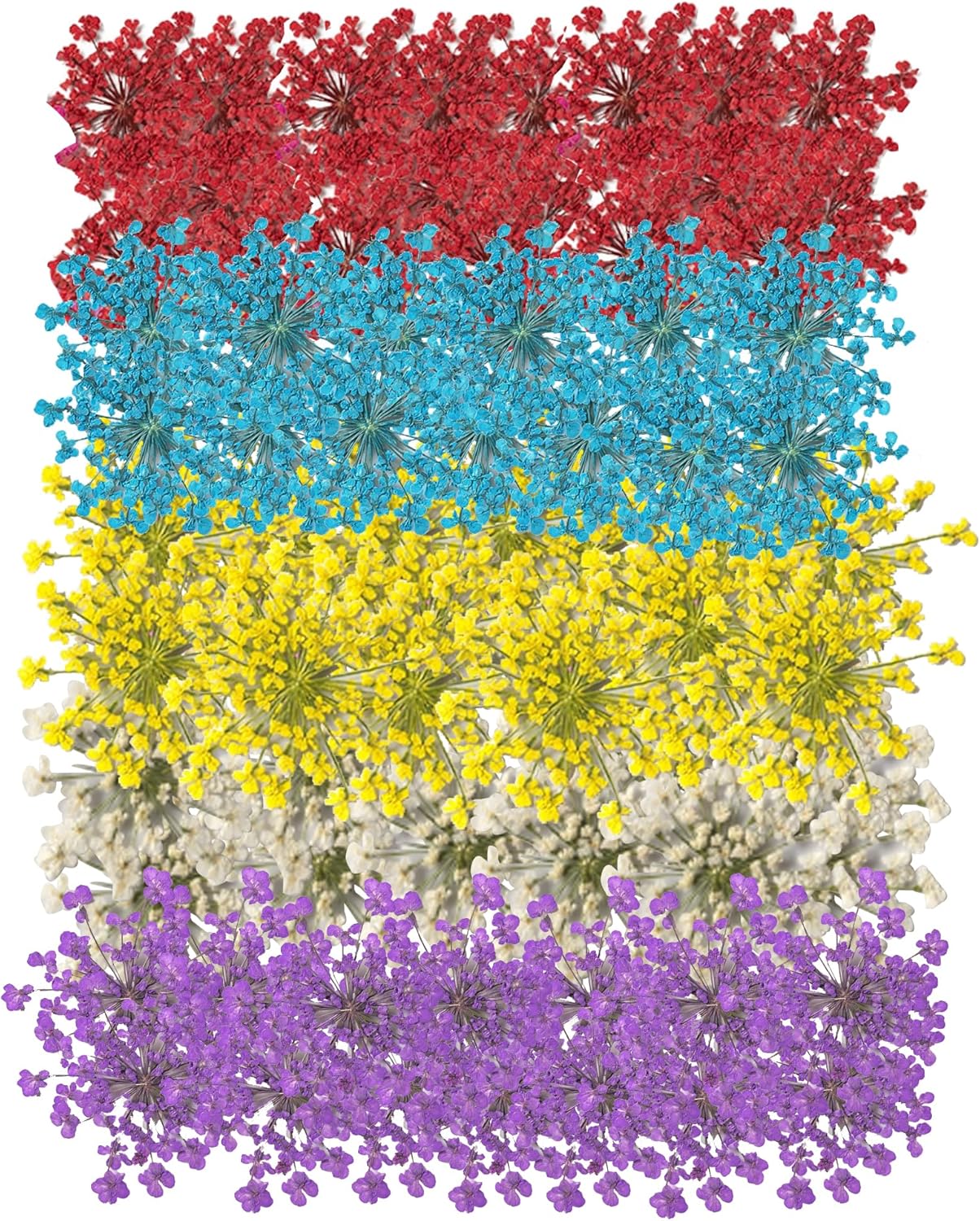 60 Pcs Dried Pressed Flowers for Resin DIY Art Crafts Natural Dry Floral Epoxy Jewelry Real Lace Flower Decor Cakes Phone Cases Candles Handmade Soap Mix Lace Flower