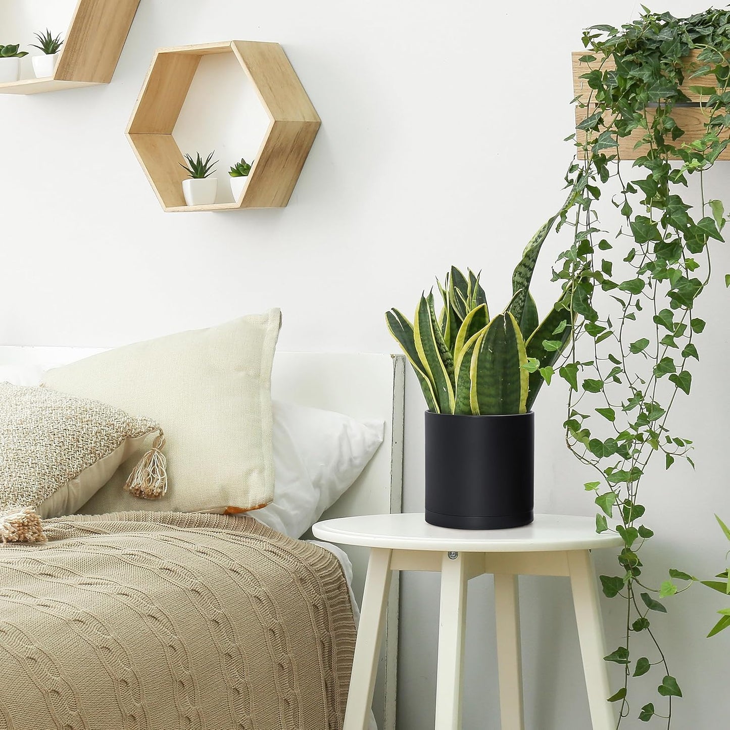 D'vine Dev 2 Pack 6.5 Inch Modern Plastic Plant Pots, Small Garden Planters for Plant with Drainage Holes and Saucers, Black Color, 74-Y-L-1