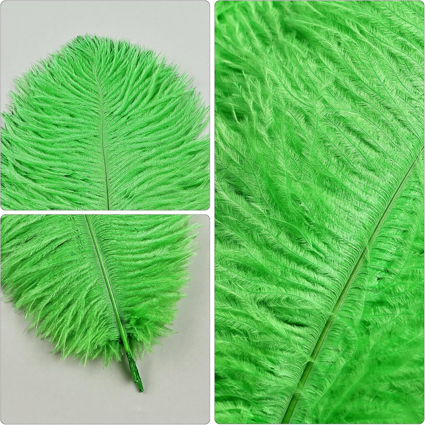 THARAHT Green Ostrich Feathers 24pcs Natural Bulk 8-10Inch 20cm-25cm for Crafts Wedding Party Centerpieces Mardi Gras and Home Decoration Feathers