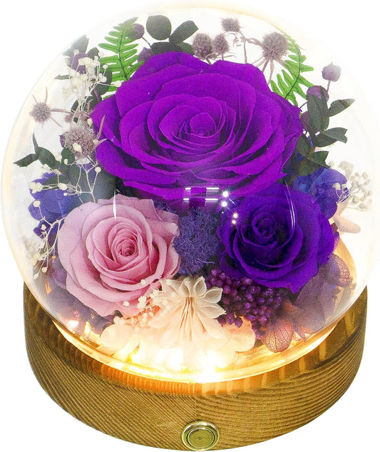 Valley of Rain & Forest Long-Lasting Real Flowers, Unique Floral Gift for You to Send Love for All Occasions, for Indoor Decoration (Dark Purple & Pink Roses Arrangement)