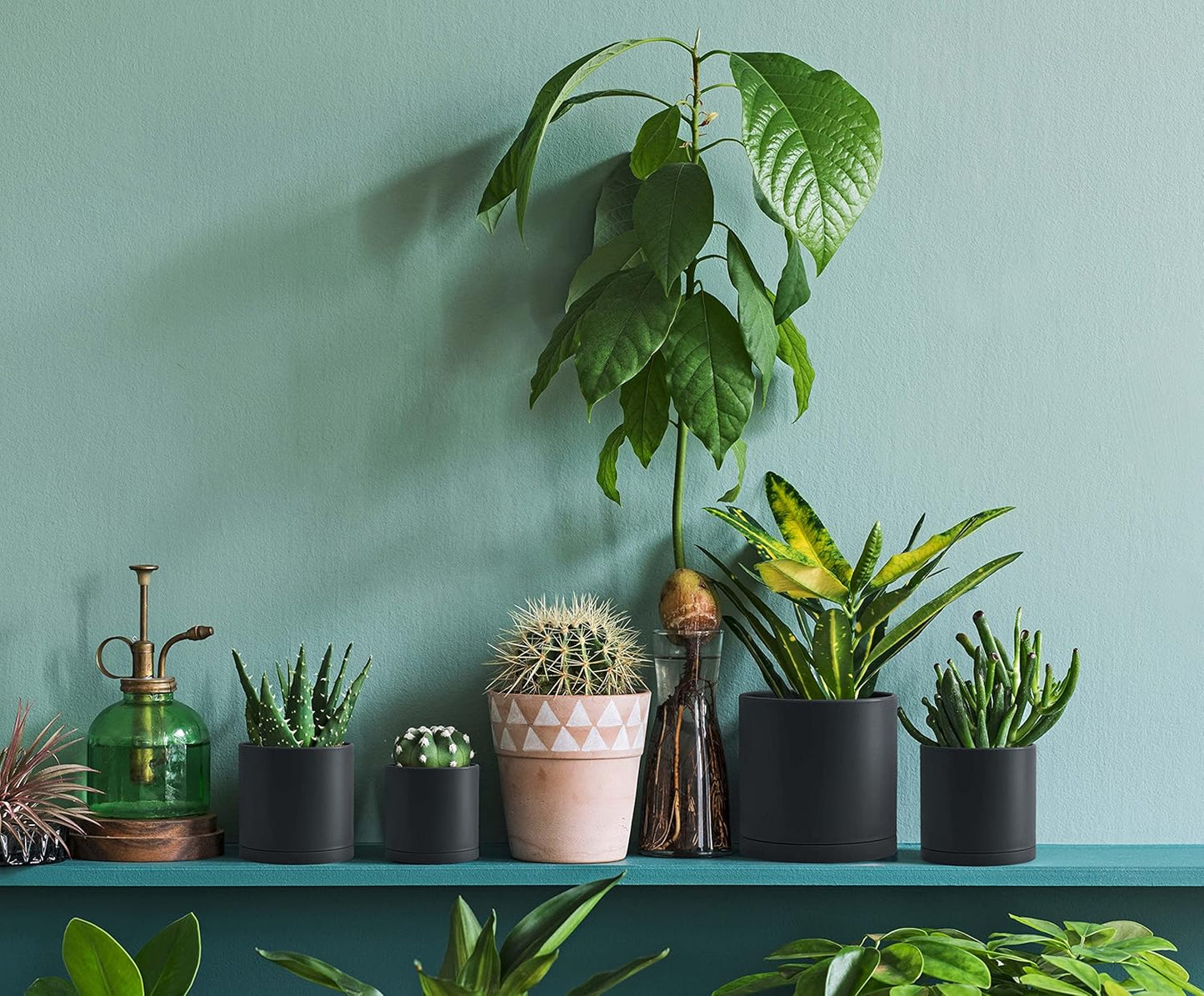 D'vine Dev 6 Pack 4 Inch Modern Plastic Plant Pots, Small Garden Planters for Plant with Drainage Holes and Saucers, Black Color, 74-Y-E-3