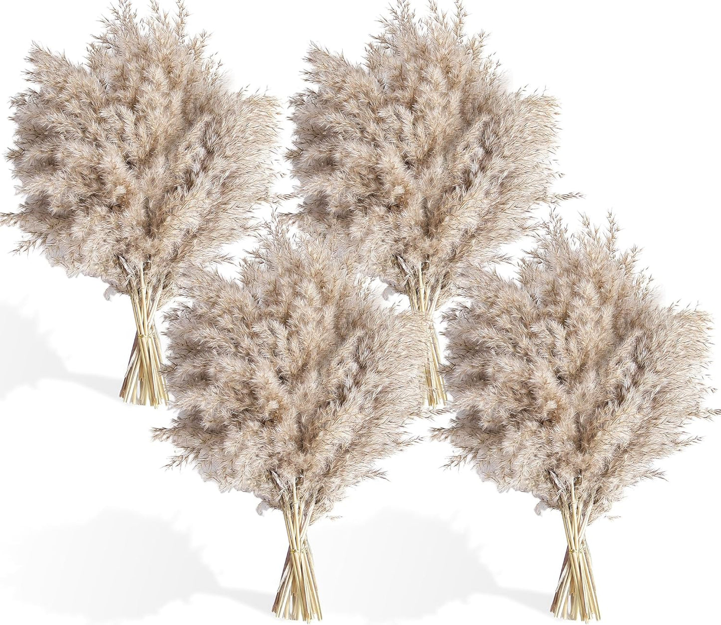 40 PCS Nature Pampas Grass Bouquet Decor - Boho Flowers and Feathers for Centerpieces, Perfect for Floor Vase Fillers, Home Decor, Living Room, and Wedding Decor