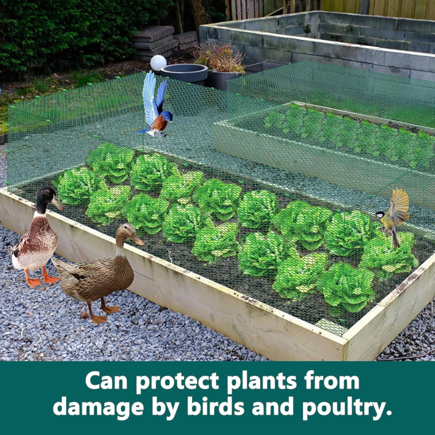 16.4Ft x16In Chicken Wire for Floral Arrangements - Free-Cut Green Metal Mesh with Hexagonal Galvanized PVC Coated Netting Guard Fence for Poultry, Garden, Plant