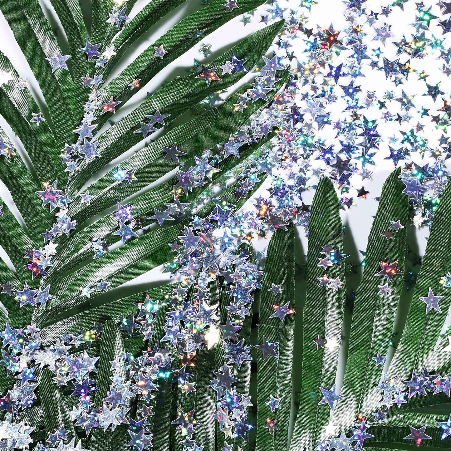 Hestya 60g Star Confetti Glitter Table Confetti Metallic Foil Stars for Party Wedding Festival Decorations(Glitter Silver,10mm and 6mm)