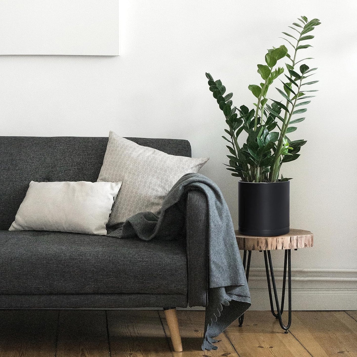 D'vine Dev 2 Pack 8 Inch Modern Plastic Plant Pots, Cylindrical Garden Planters for Plants with Drainage Holes and Saucers, Black, 74-Y-M-1